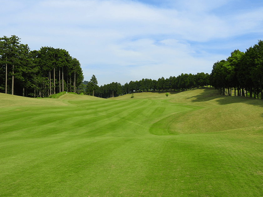 4th Hole