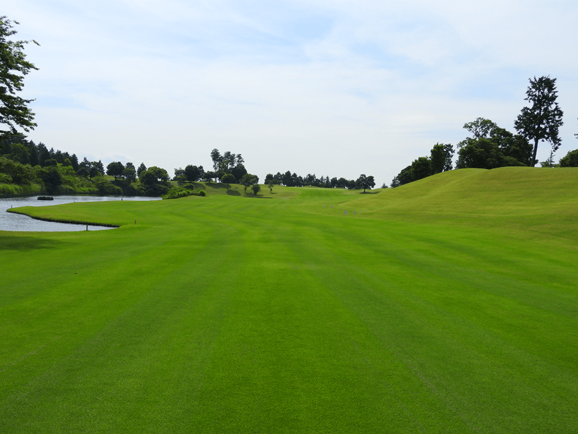 13th Hole