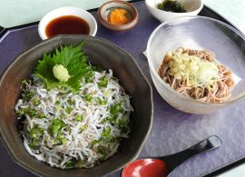 しらす丼とミニ冷蕎麦・ミニうどん