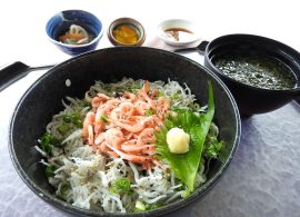 釜揚げしらすと桜海老の二色丼