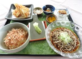 中伊豆わさび丼と冷やしかけ蕎麦