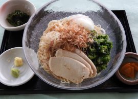 鶏そうめん